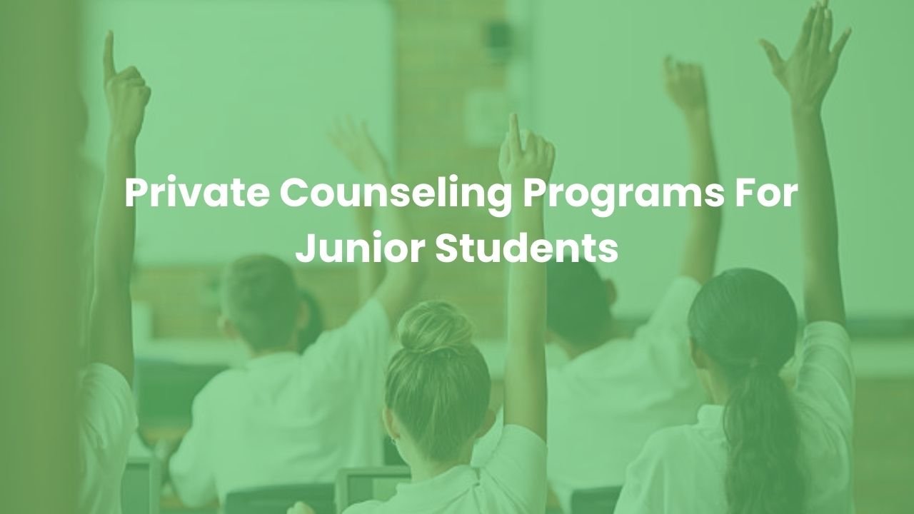 Private Counseling Programs for Junior Students Success